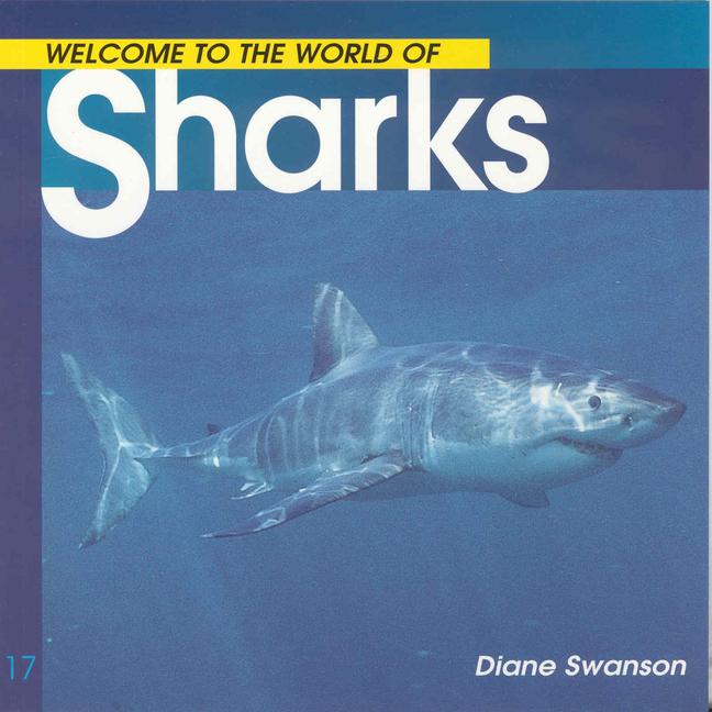 Kniha Welcome to the World of Sharks 