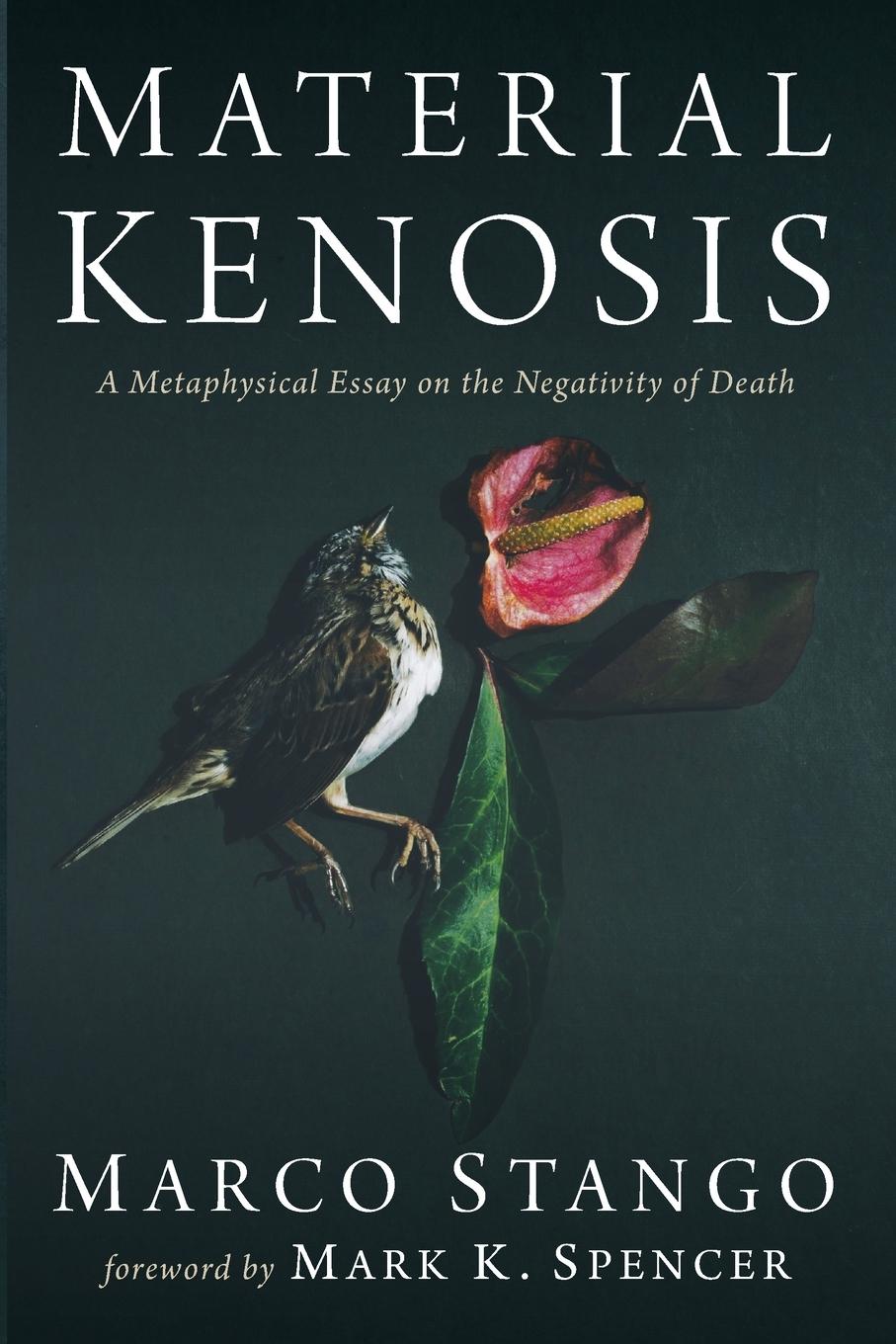 Kniha Material Kenosis 