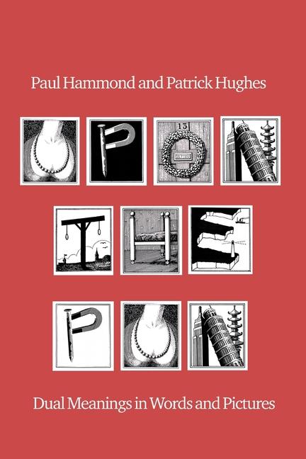 Kniha Upon The Pun Patrick Hughes