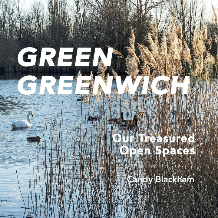 Kniha Green Greenwich 
