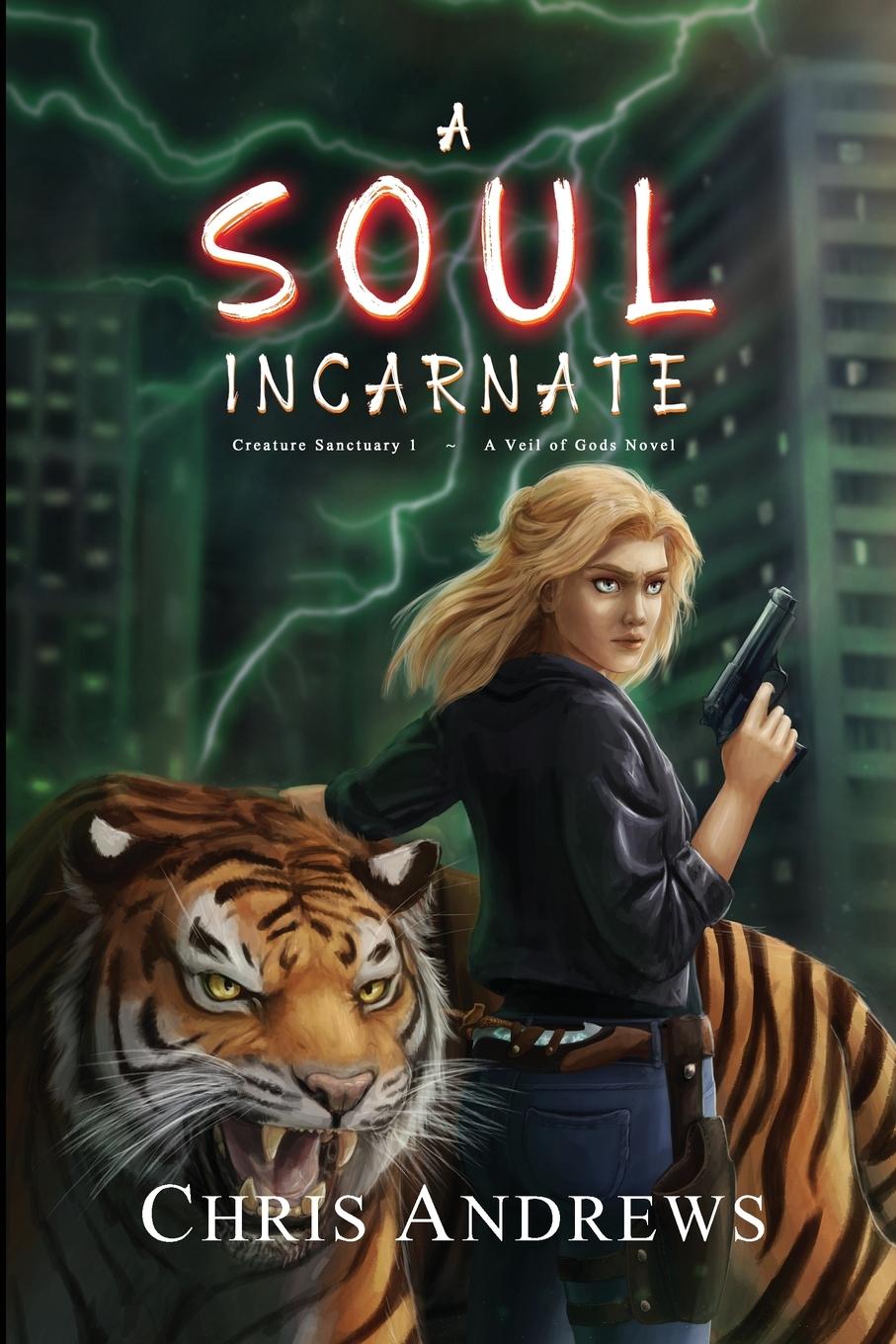 Kniha A Soul Incarnate Chris Andrews