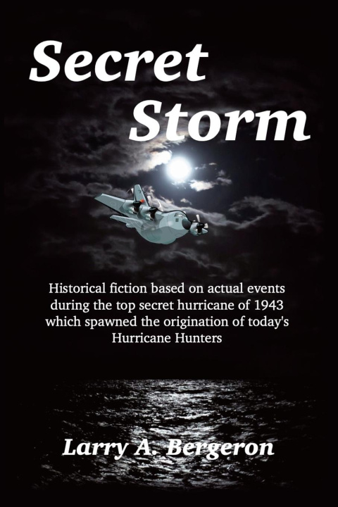 Kniha Secret Storm 