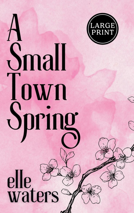 Kniha A Small Town Spring 