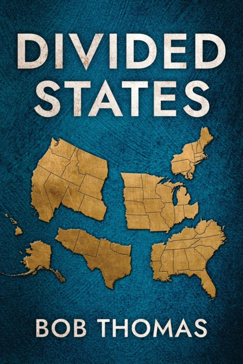 Kniha Divided States 