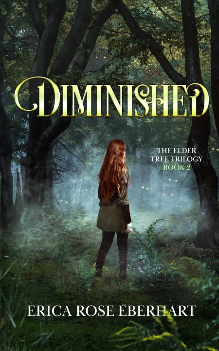 Kniha Diminished 