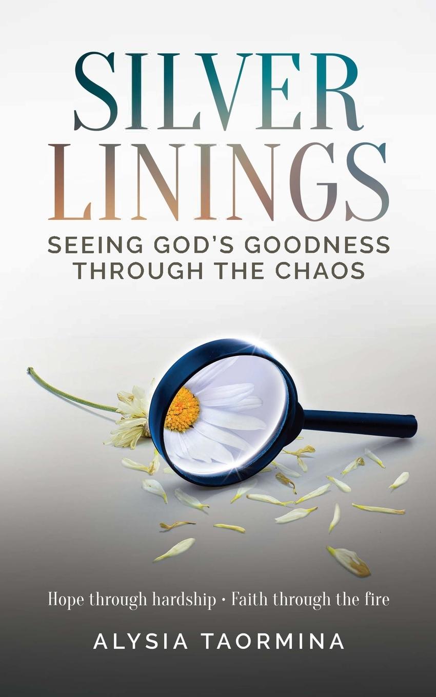 Kniha Silver Linings 