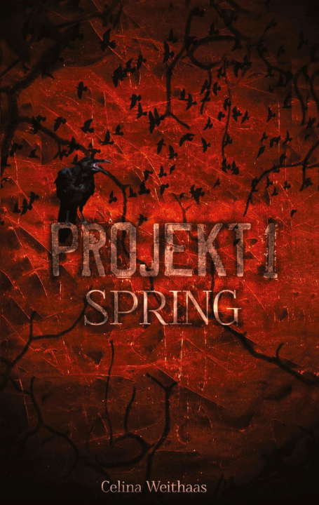 Kniha Spring - Projekt I Celina Weithaas