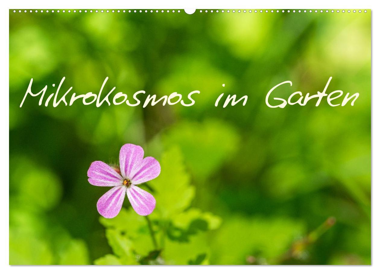 Kalendár/Diár Mikrokosmos im Garten (Wandkalender 2026 DIN A2 quer), CALVENDO Monatskalender Calvendo