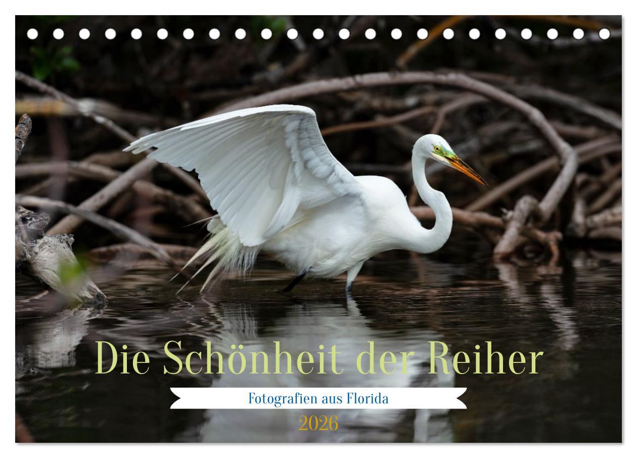 Kalendár/Diár Die Schönheit der Reiher (Tischkalender 2026 DIN A5 quer), CALVENDO Monatskalender Calvendo