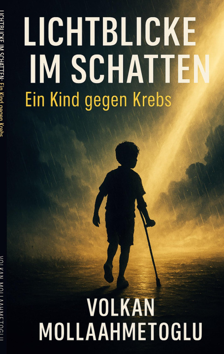 Kniha Lichtblicke im Schatten Volkan Mollaahmetoglu
