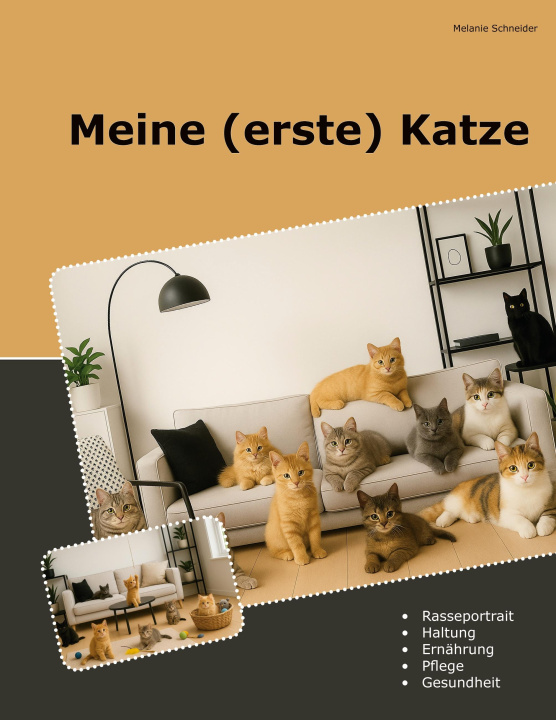 Kniha Meine (erste) Katze Melanie Schneider