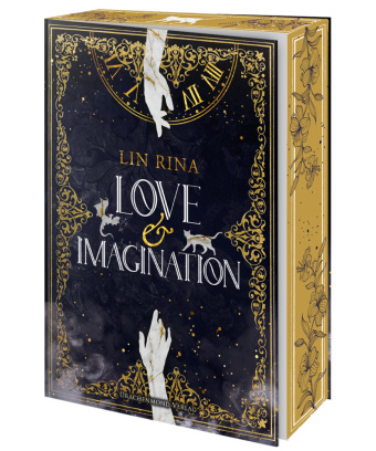 Kniha Love & Imagination Lin Rina