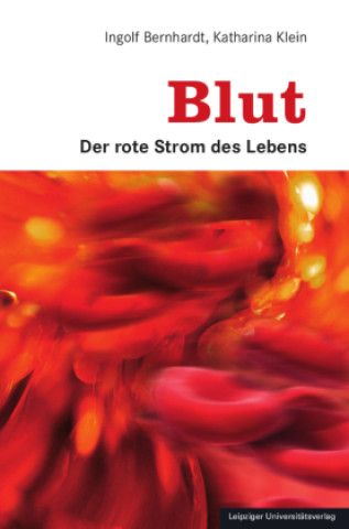Kniha Blut Katharina Klein