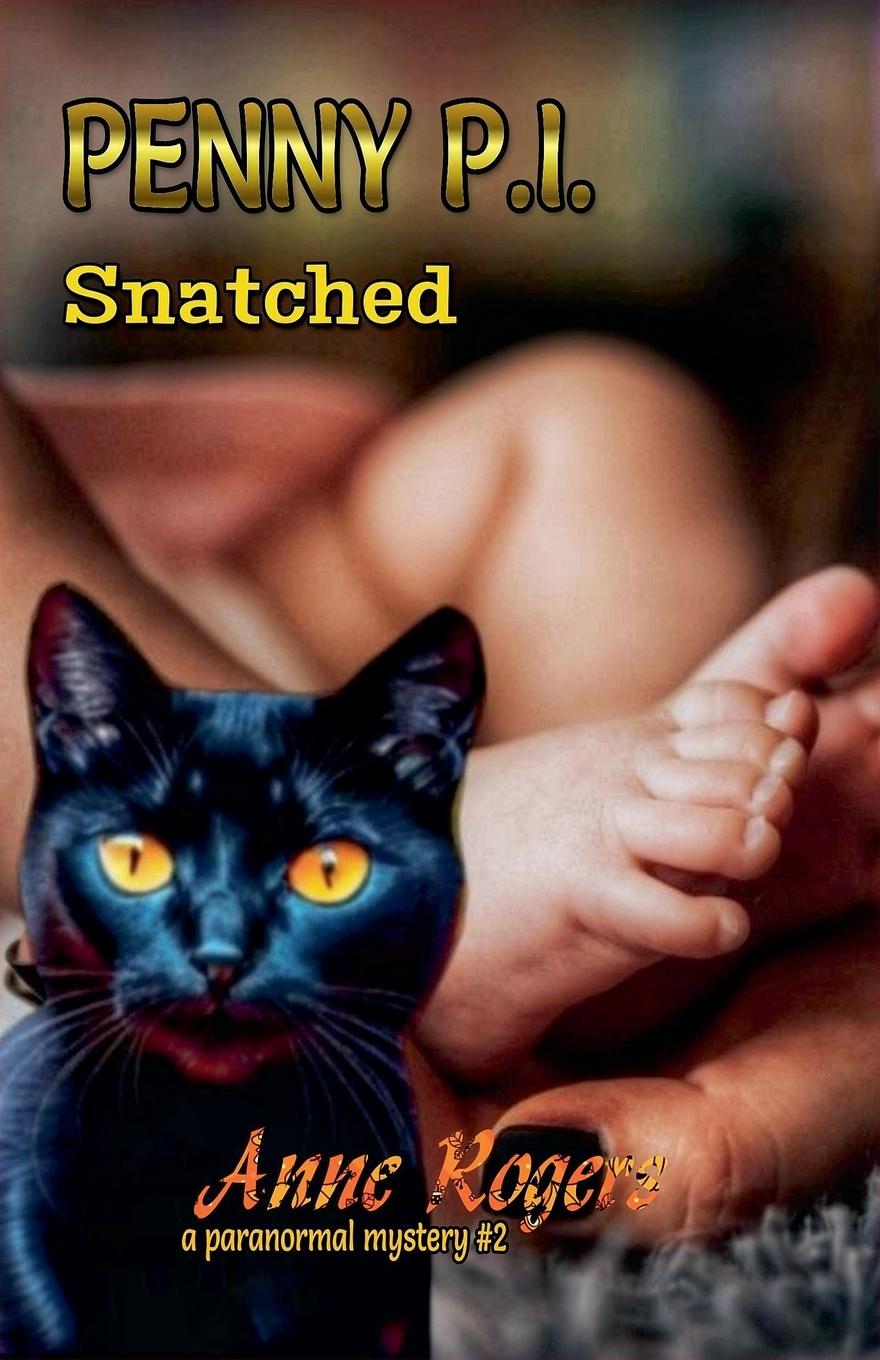 Kniha Snatched 