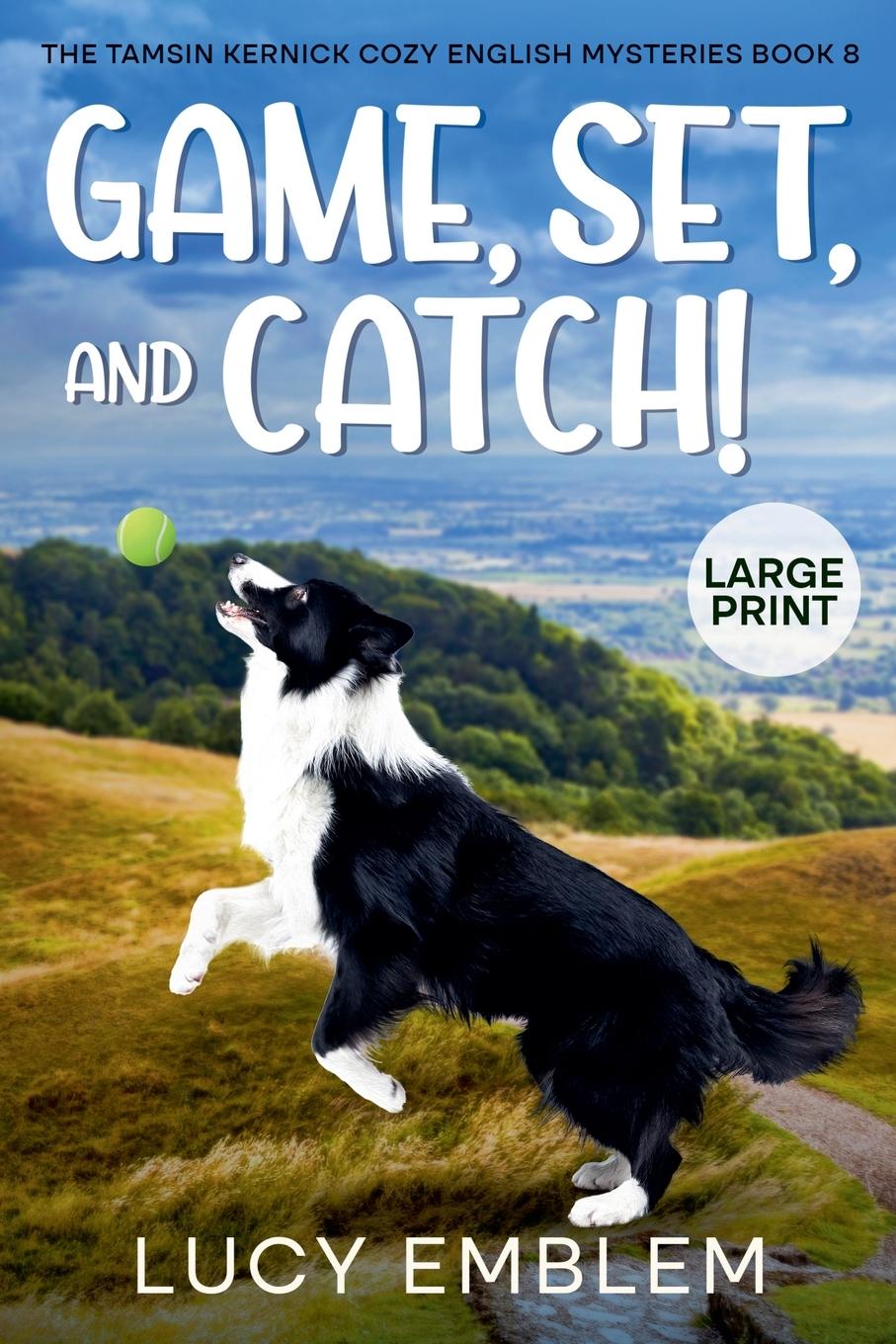 Kniha Game, Set, and Catch! 