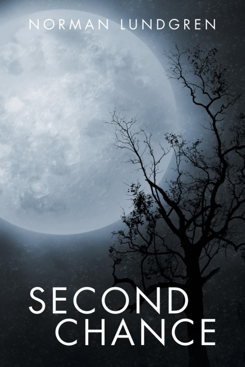 Kniha Second Chance 