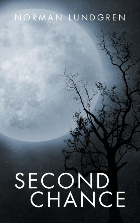 Kniha Second Chance 