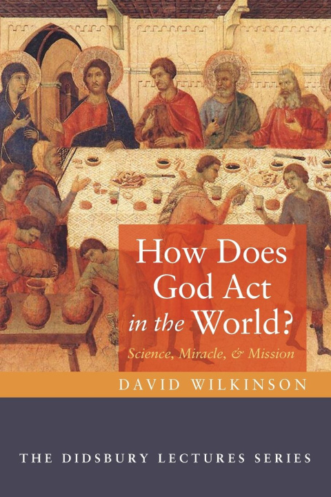 Könyv How Does God Act in the World? 