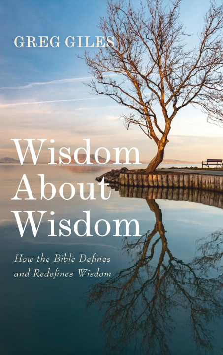 Kniha Wisdom about Wisdom 