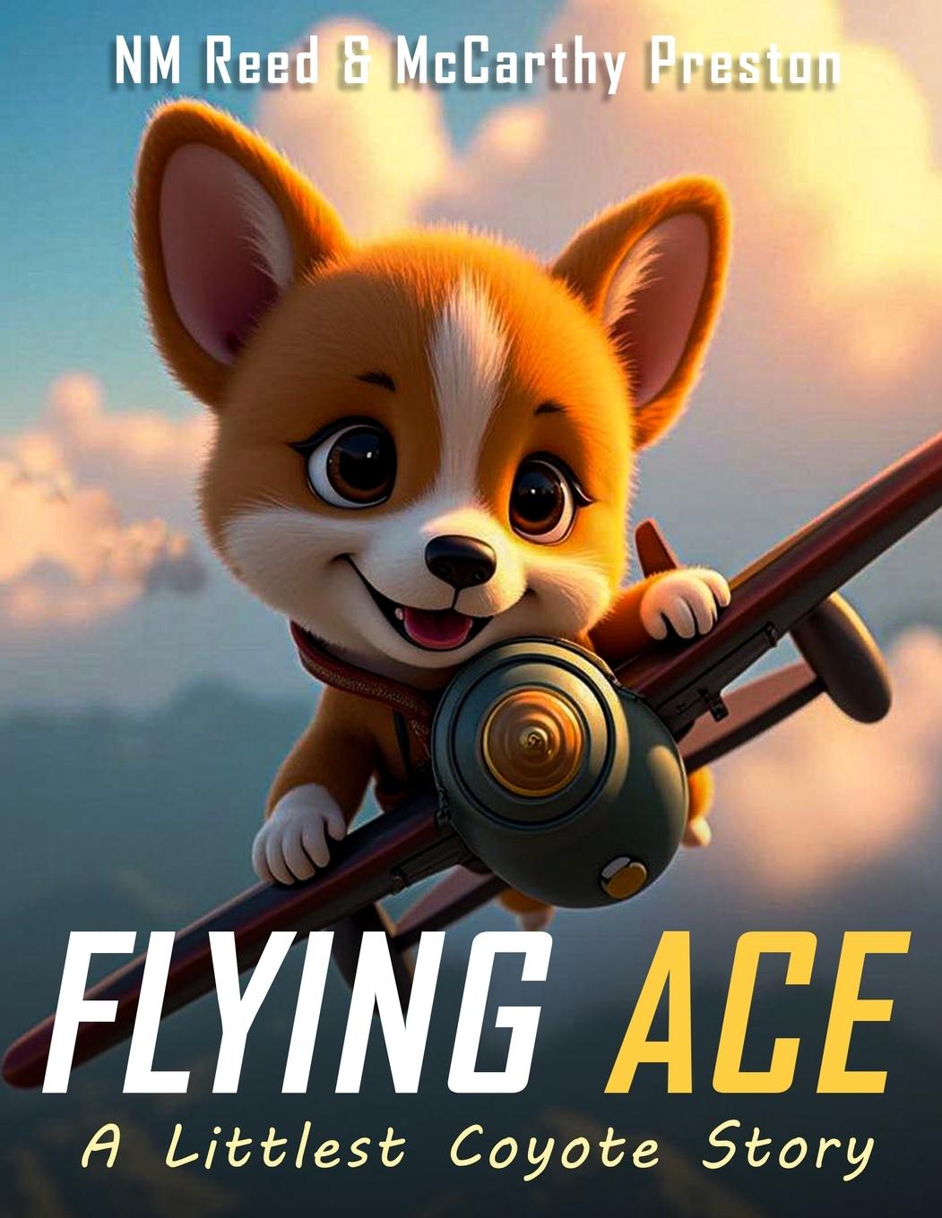Kniha Flying Ace McCarthy Preston