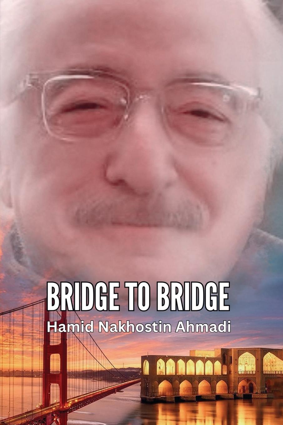 Kniha Bridge to Bridge 