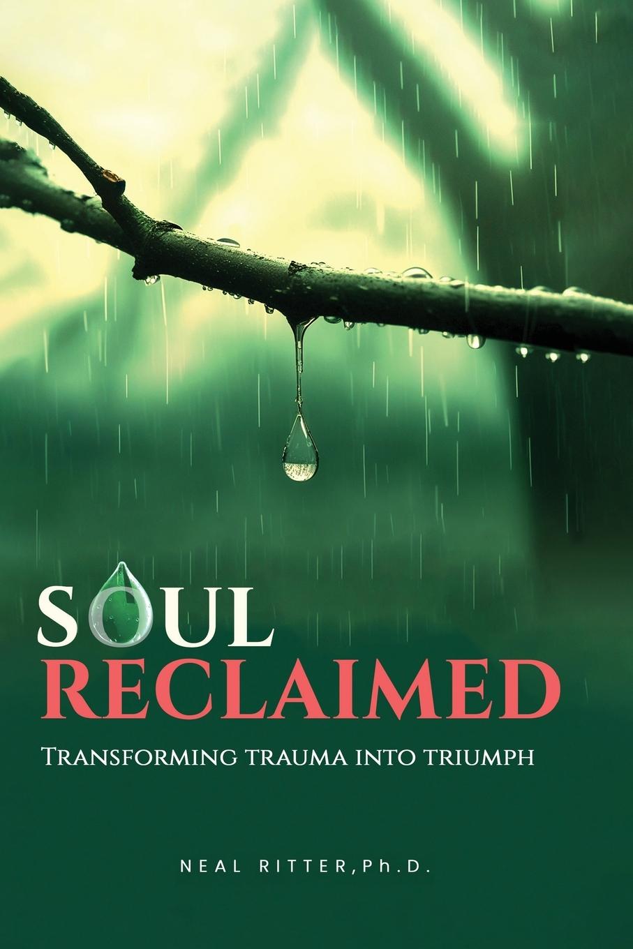 Kniha Soul Reclaimed Neal Ritter