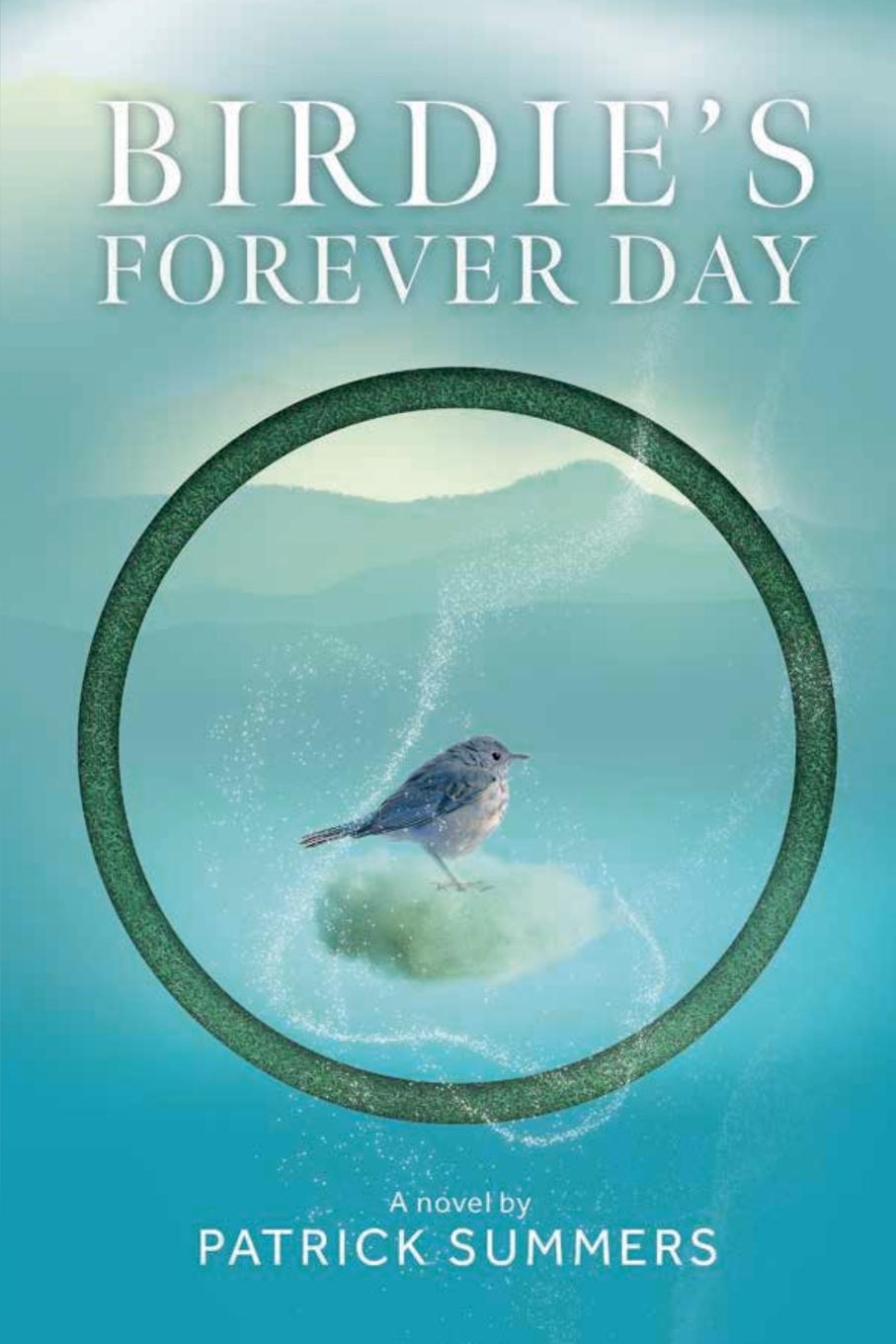Kniha Birdie's Forever Day Patrick Summers