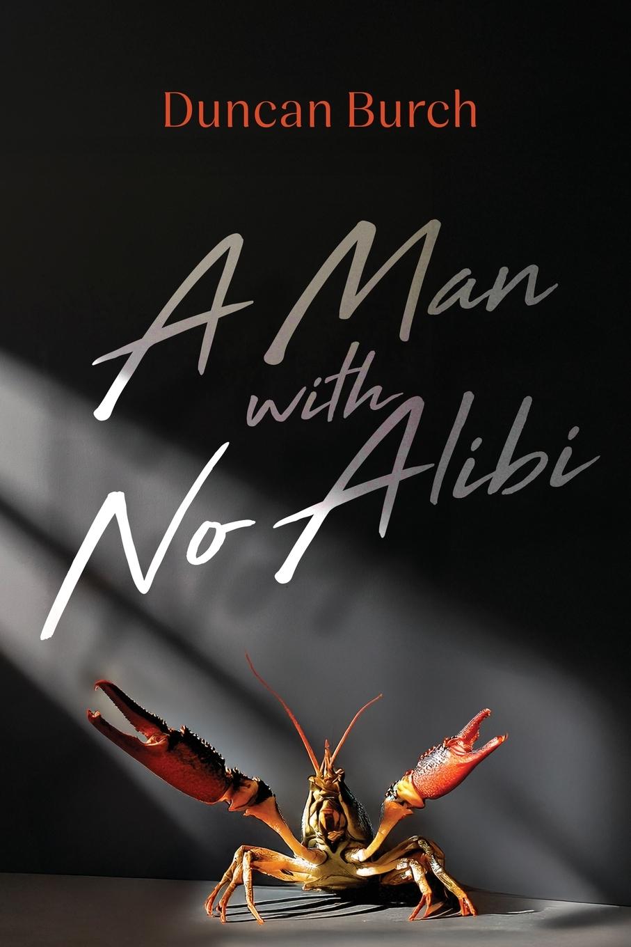 Kniha A Man with No Alibi 