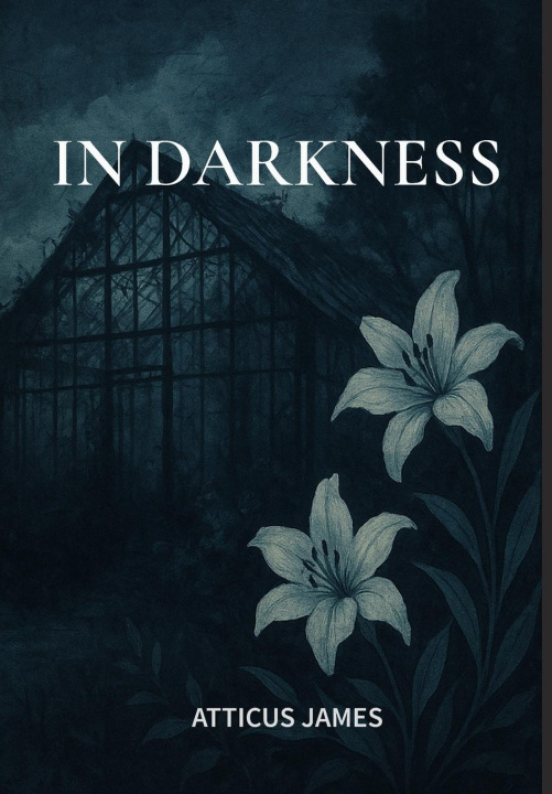 Kniha In Darkness 