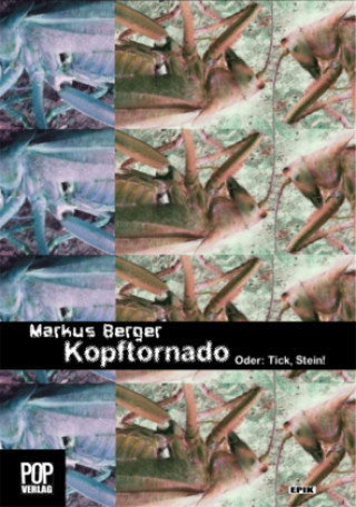 Kniha Kopftornado. Oder: Tick, Stein! Berger Markus