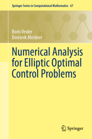 Kniha Numerical Analysis for Elliptic Optimal Control Problems Dominik Meidner