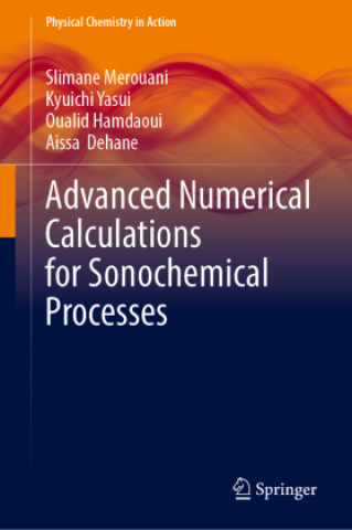 Kniha Advanced Numerical Calculations for Sonochemical Processes Slimane Merouani