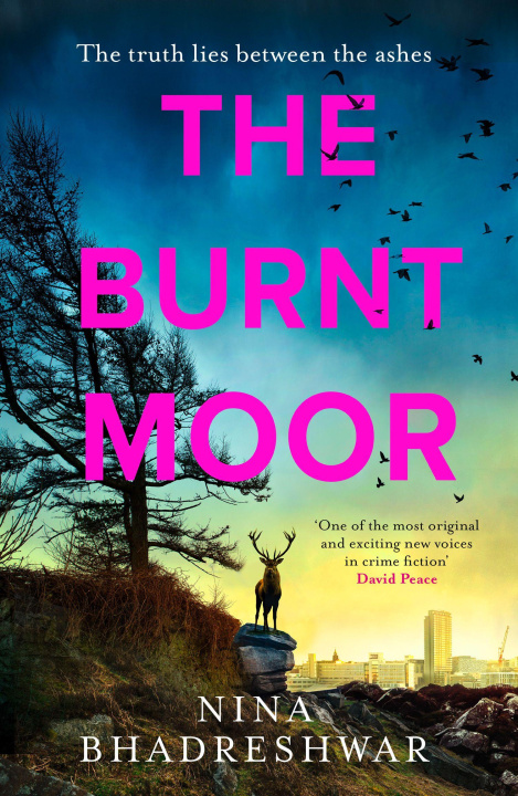 Kniha Burnt Moor Nina Bhadreshwar