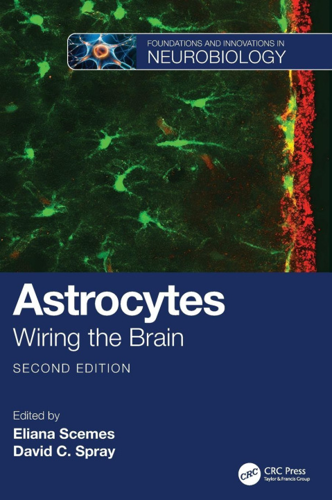 Kniha Astrocytes Eliana Scemes