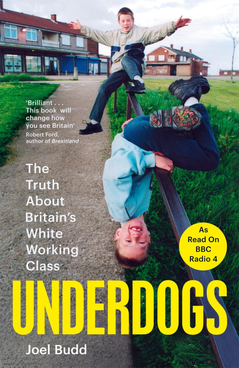 Kniha Underdogs Joel Budd
