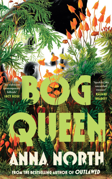 Kniha Bog Queen Anna North