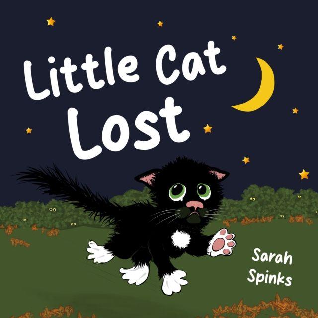 Kniha Little Cat Lost Sarah Spinks