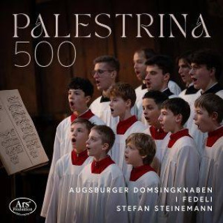 Audio Palestrina 500 