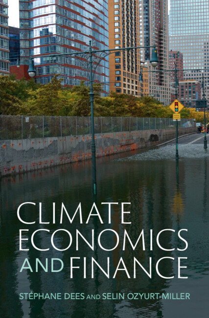Kniha Climate Economics and Finance Stéphane Dees