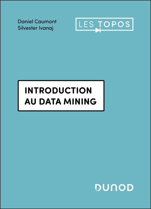 Kniha Introduction au data mining Daniel Caumont