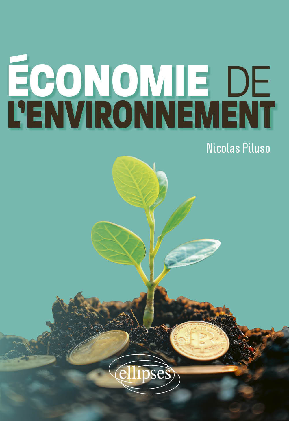 Kniha Economie de l'environnement Piluso