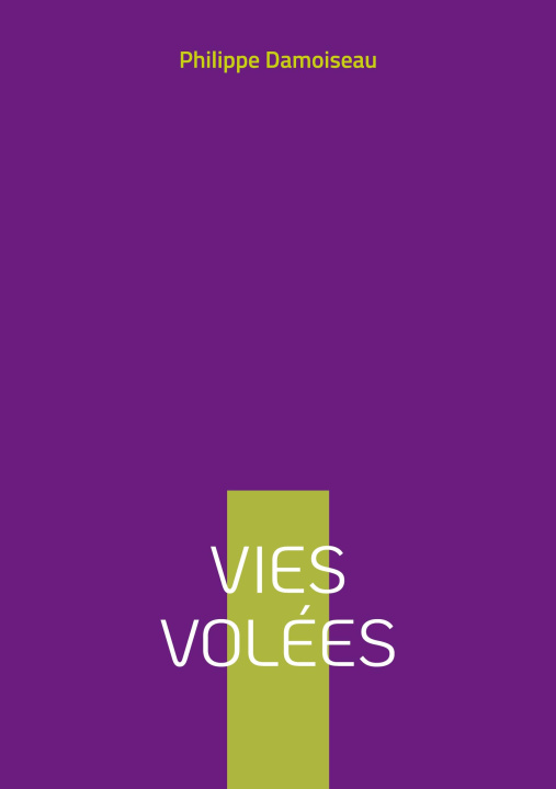 Kniha VIES VOLEES DAMOISEAU PHILIPPE