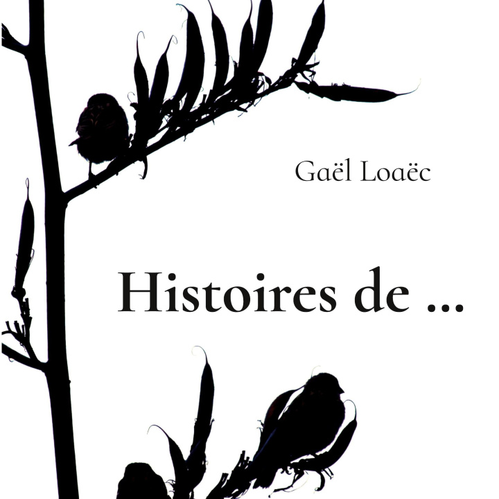 Kniha HISTOIRES DE LOAEC GAEL