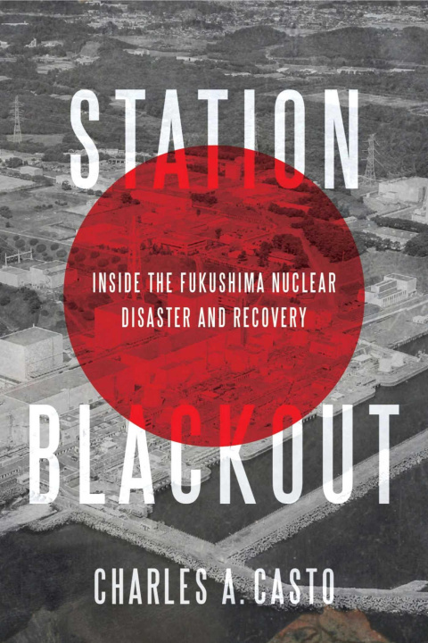 Kniha STATION BLACKOUT CASTO CHARLES