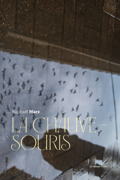 Kniha La chauve-souris Marz