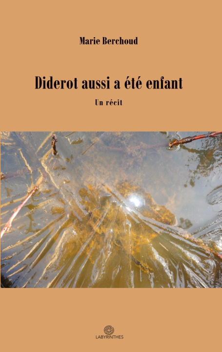 Kniha DIDEROT AUSSI A ETE ENFANT BERCHOUD MARIE