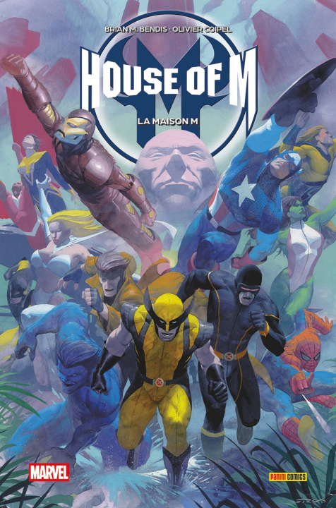 Kniha House of M 