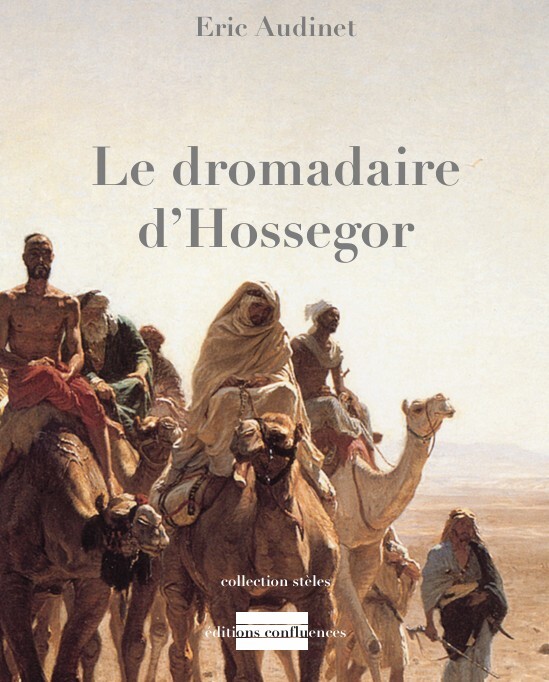 Kniha Le dromadaire d'Hossegor Audinet