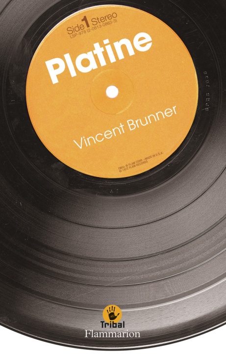 Kniha Platine Brunner
