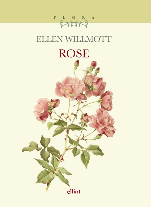 Kniha Rose Ellen Willmott
